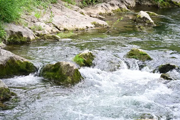 Hızlı dağ deresinin güzel manzarası            