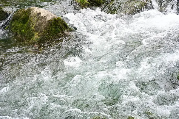 Hızlı dağ deresinin güzel manzarası            