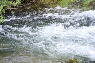 Hızlı dağ deresinin güzel manzarası            