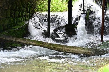 şelale orman, doğal arka plan 