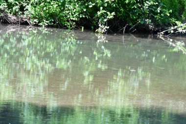 Yeşil ağaçlı dağlar ve akan nehirler. 