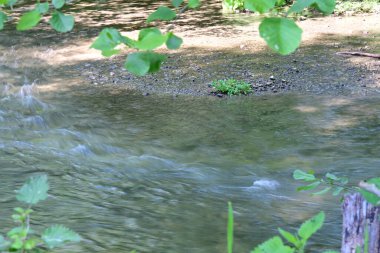 Yeşil ağaçlı dağlar ve akan nehirler. 
