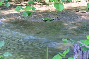 Yeşil ağaçlı dağlar ve akan nehirler. 