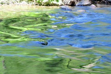 Yeşil ağaçlı dağlar ve akan nehirler. 