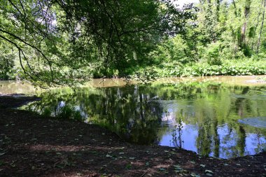 Yeşil ağaçlı dağlar ve akan nehirler. 