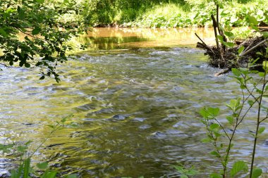 Yeşil ağaçlı dağlar ve akan nehirler. 
