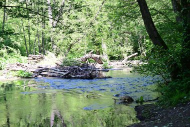 Yeşil ağaçlı dağlar ve akan nehirler. 