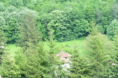 Yeşil dağ orman manzarası manzarası 