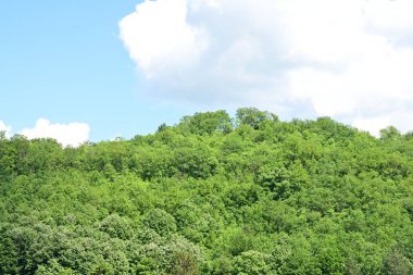 Dağları ve ormanı olan güzel bir manzara. 