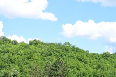 Dağları ve ormanı olan güzel bir manzara. 
