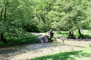 Yaz ormanındaki güzel nehir dalgalanması manzarası