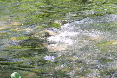 Yaz ormanındaki güzel nehir dalgalanması manzarası