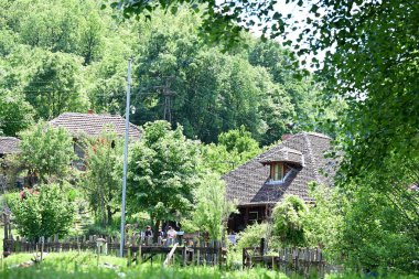 Yazın huzurlu kırsal manzaranın güzel manzarası