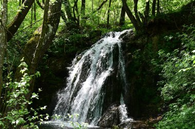 Dağlardaki güzel şelale manzarası            