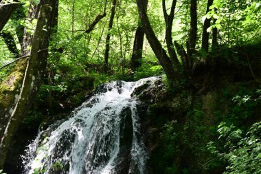 Dağlardaki güzel şelale manzarası            