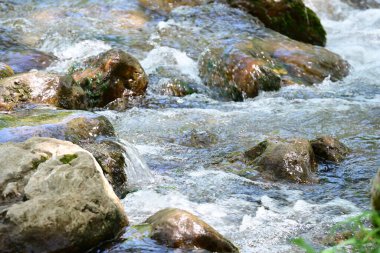 Orman manzarasında güzel bir şelale 