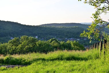 Yeşil tarlaların ve dağların manzarası