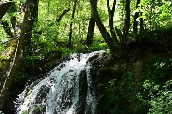 Dağlardaki güzel şelale manzarası            