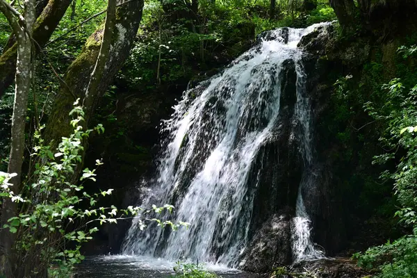 Dağlardaki güzel şelale manzarası            
