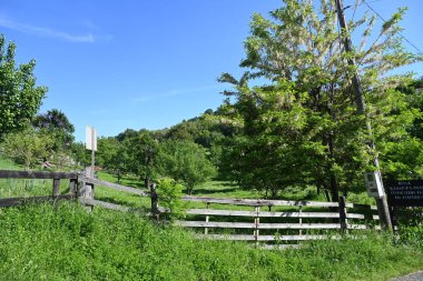 Parktaki küçük tahta köprü.