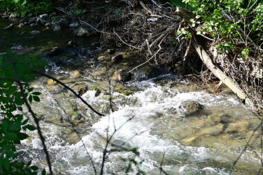 Dağ ormanlarında nehirden akan su akıntısı 