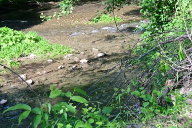 Dağ ormanlarında nehirden akan su akıntısı 