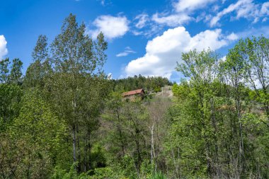 Yeşil ağaçlı dağların manzarası. 