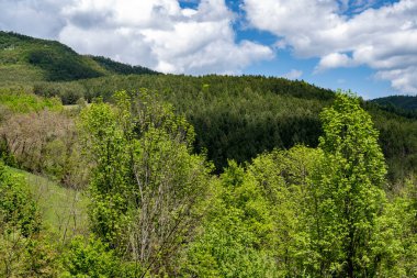 Yeşil ağaçlı dağların manzarası. 