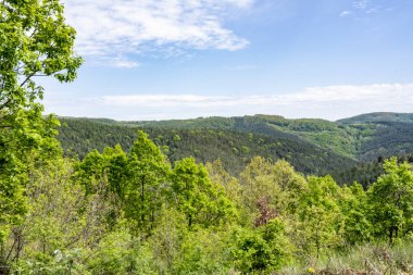 Güzel dağ ormanı doğa manzarası 