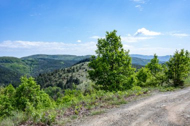 Güzel dağ ormanı doğa manzarası 