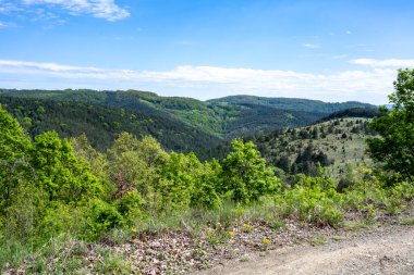 Güzel dağ ormanı doğa manzarası 