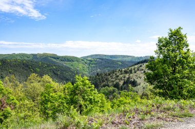 Güzel dağ ormanı doğa manzarası 