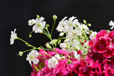 Siyah arka planda güzel pembe ve beyaz çiçekler 