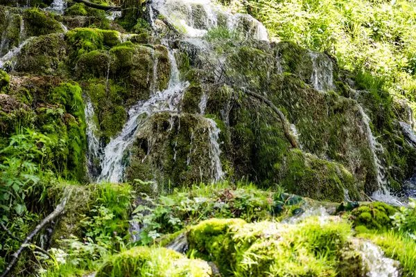 Ormanda şelale. Doğadaki şelale.