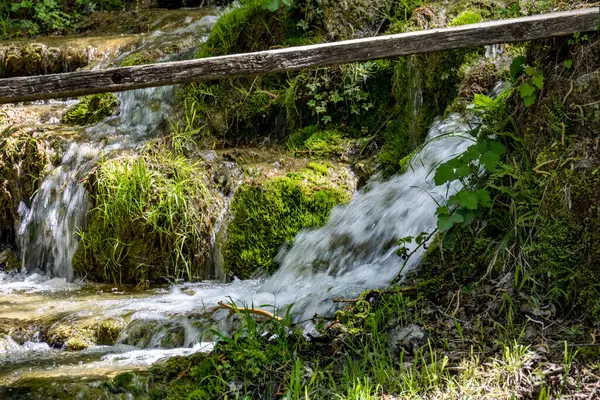 Küçük bir dağ deresinde şelale
