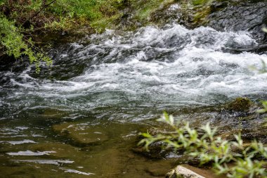 Yeşil yapraklı ve taşlı güzel şelale