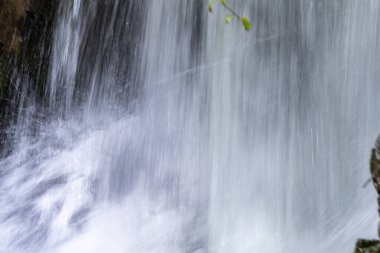 Şelale ile yeşil çimen