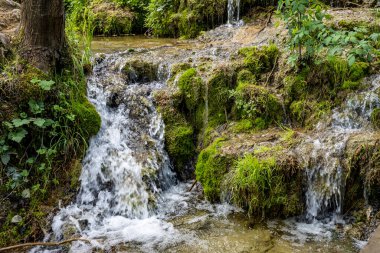 Ormanda yosun ve kayalarla dolu bir şelale.