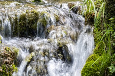 Ormanda güzel bir şelale