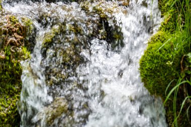 Moss ile küçük şelale