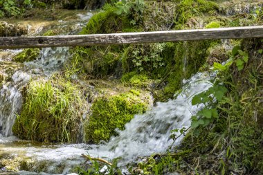 Ormanda şelale. Güzel doğal manzara. doğa arkaplanı.