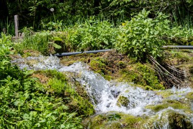 Parkta şelale doğa manzarası 