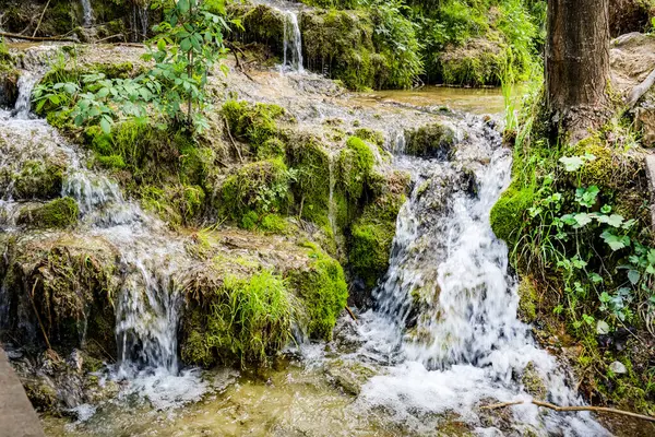 Parkta şelale doğa manzarası 