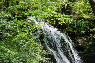 Dağlardaki güzel şelale manzarası            