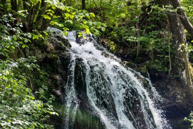 Dağlardaki güzel şelale manzarası            