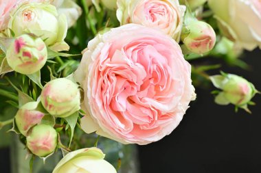 Bahçedeki güzel pembe güller 