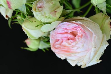 Güzel buket çiçek, görünümü kapatın