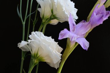 Siyah arkaplanda güzel çiçeklerin manzarasını kapat