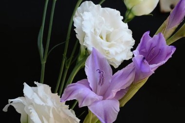 Siyah arkaplanda güzel çiçeklerin manzarasını kapat