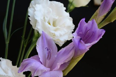 Siyah arkaplanda güzel çiçeklerin manzarasını kapat